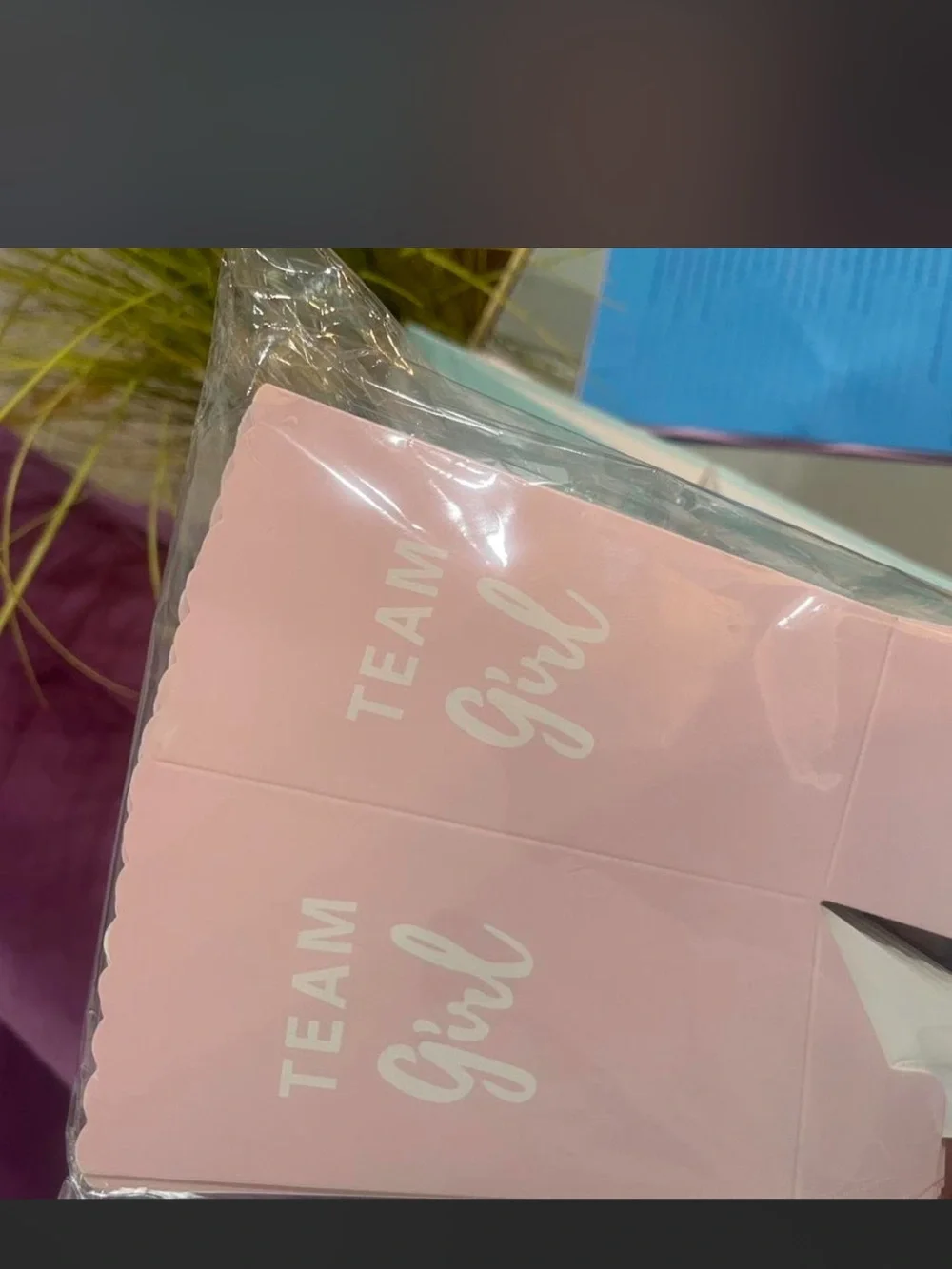 Pastel Blue & Pink Baby Block Storage Bins